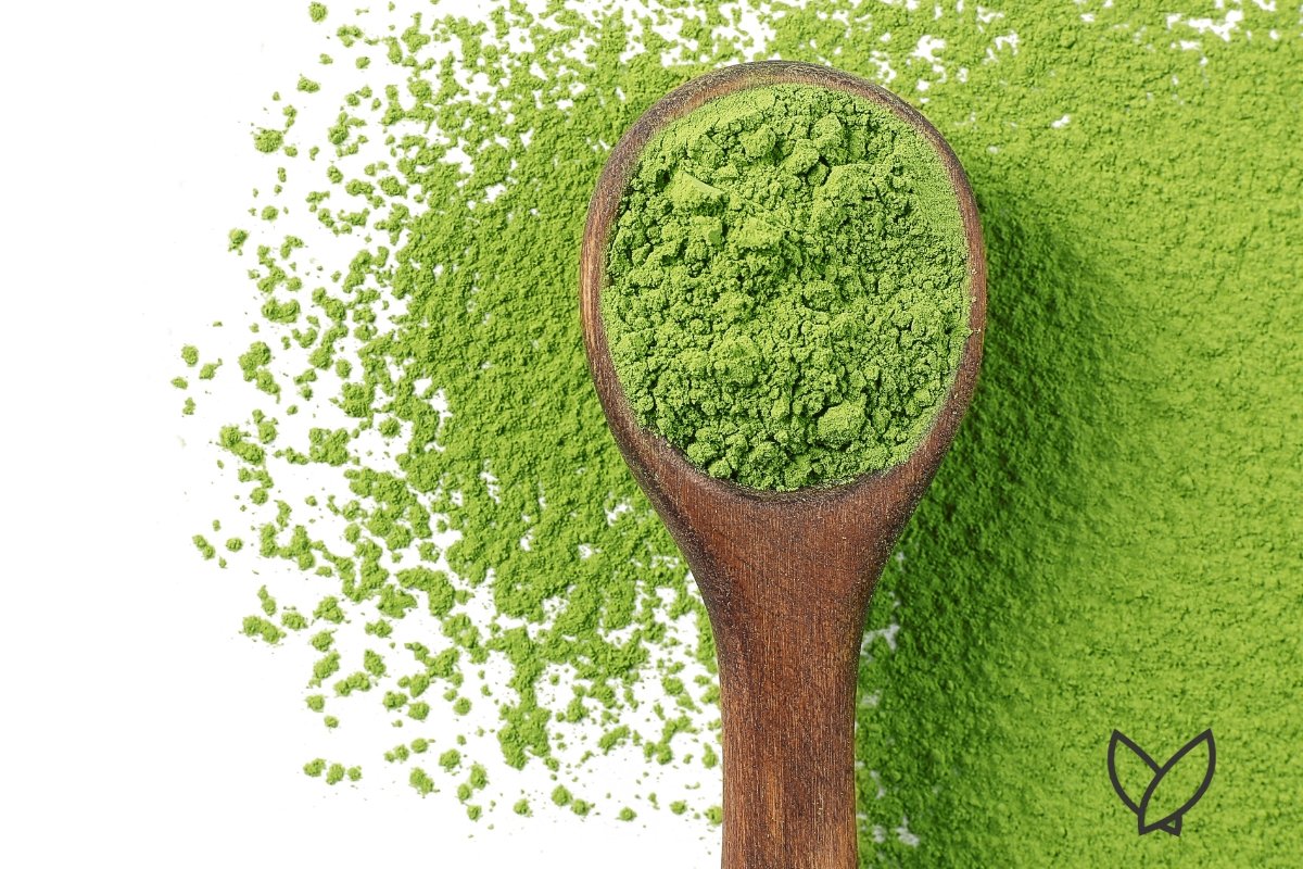 Can Matcha Fight Cancer? - HONE