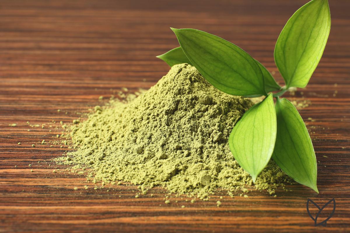 Can Matcha Help Manage Anxiety? - HONE