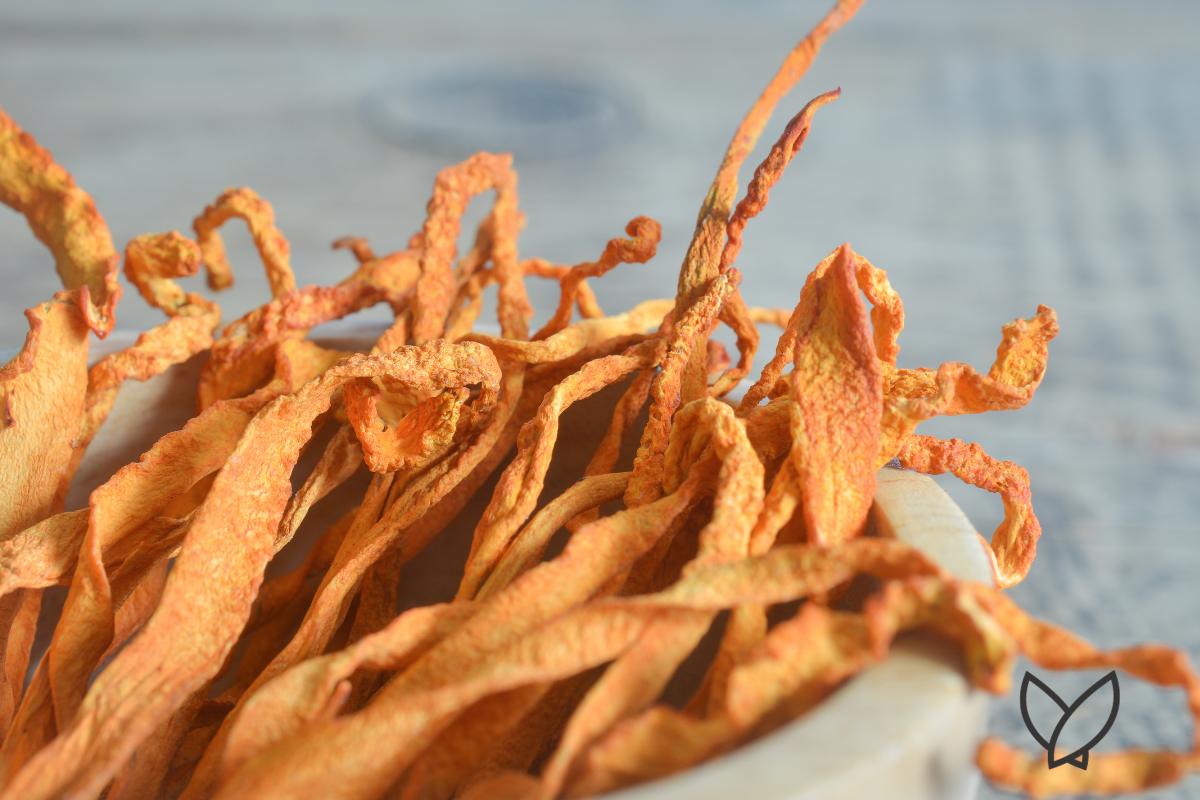 Is Cordyceps a New Hope for Ovarian Cancer Patients? - HONE